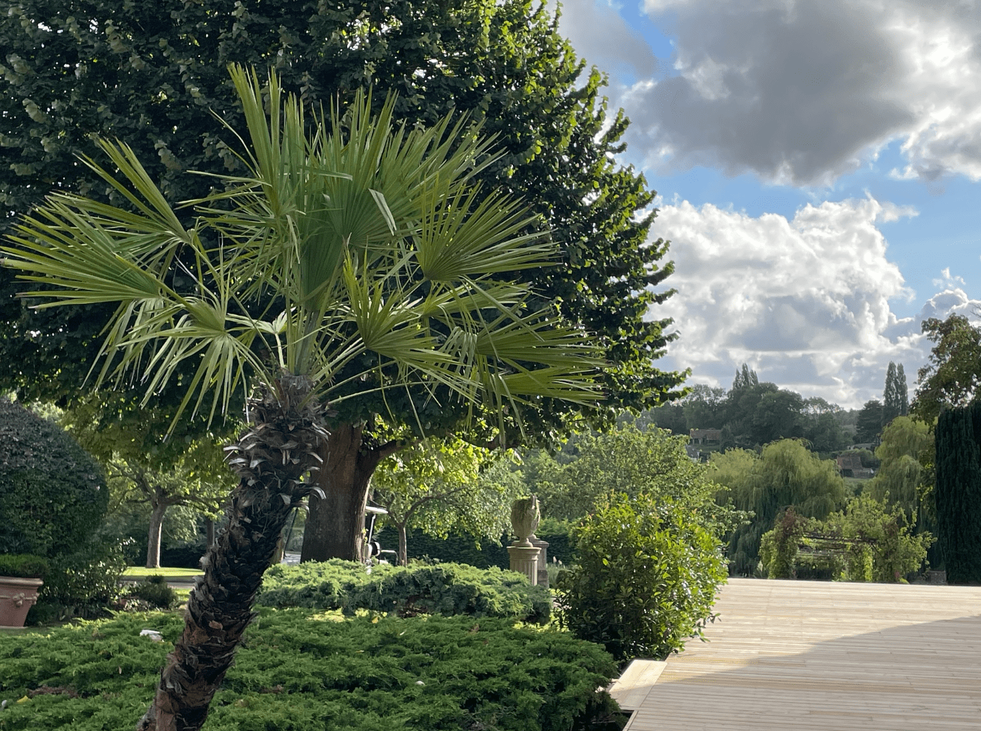 Focus sur l'aménagement végétal autour de la terrasse