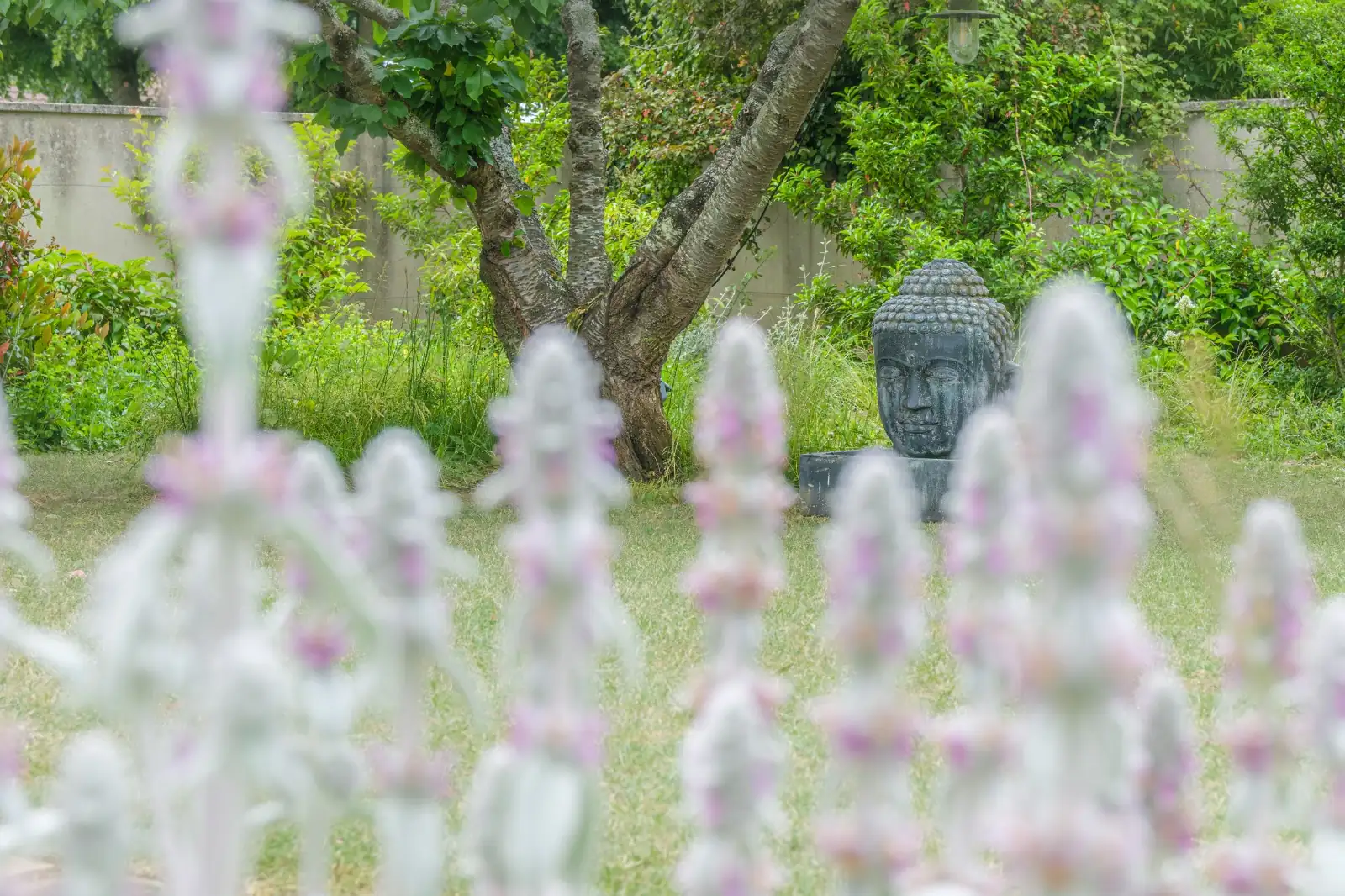 diaporama-photo1-qui-sommes-nous-greenho