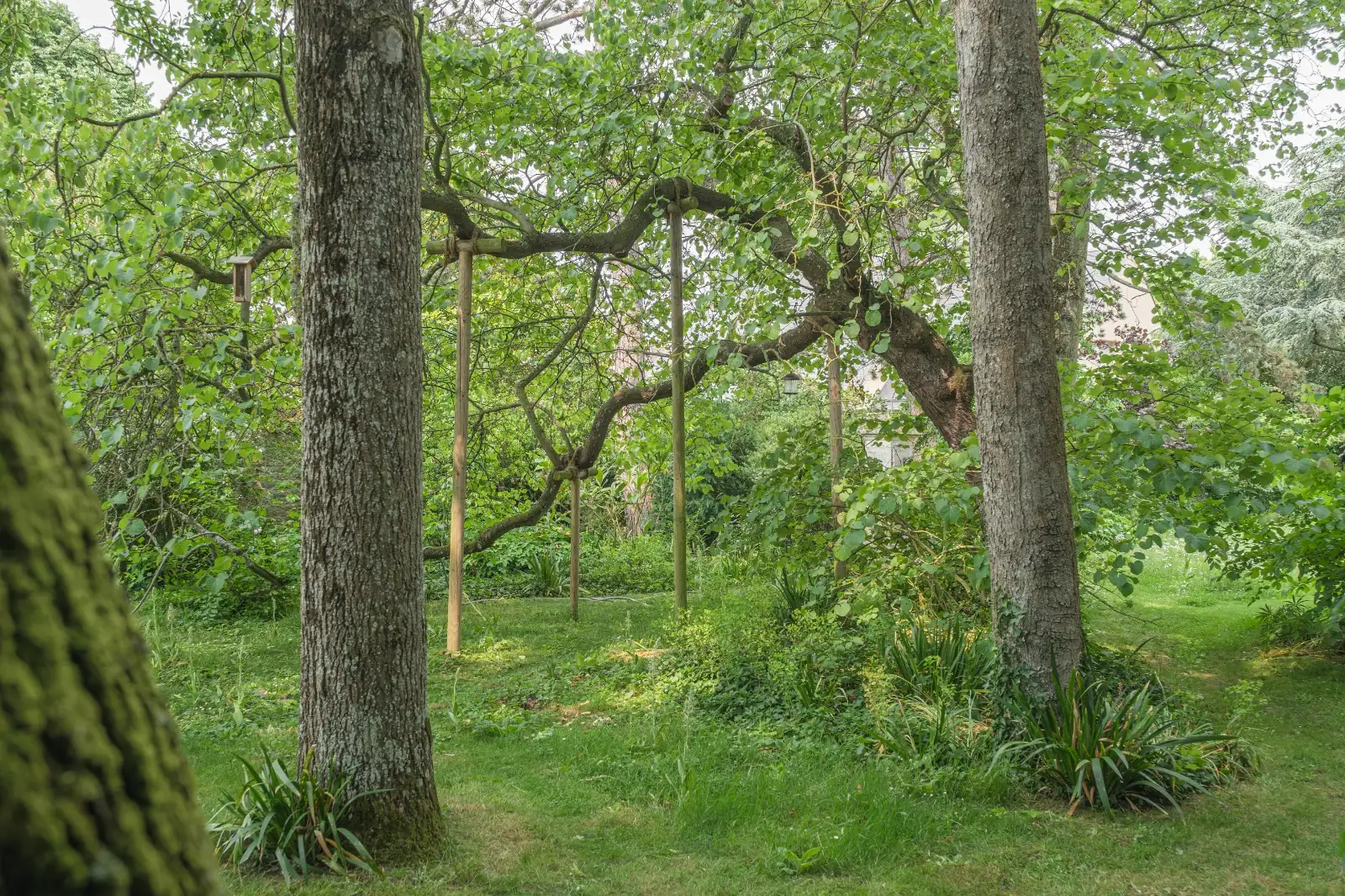 <p>Découvrez en images<br />
notre savoir-faire</p>
 photo 1